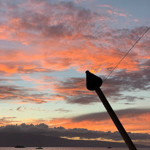 Meet your Posher, Maddie